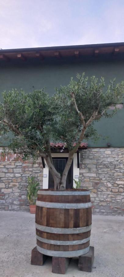 1929 Wine Food Relax Agriturismo Acqui Terme Eksteriør billede