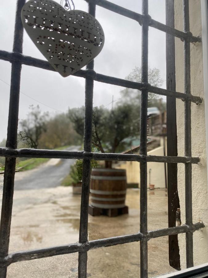 1929 Wine Food Relax Agriturismo Acqui Terme Eksteriør billede