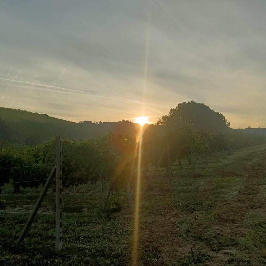1929 Wine Food Relax Agriturismo Acqui Terme Eksteriør billede