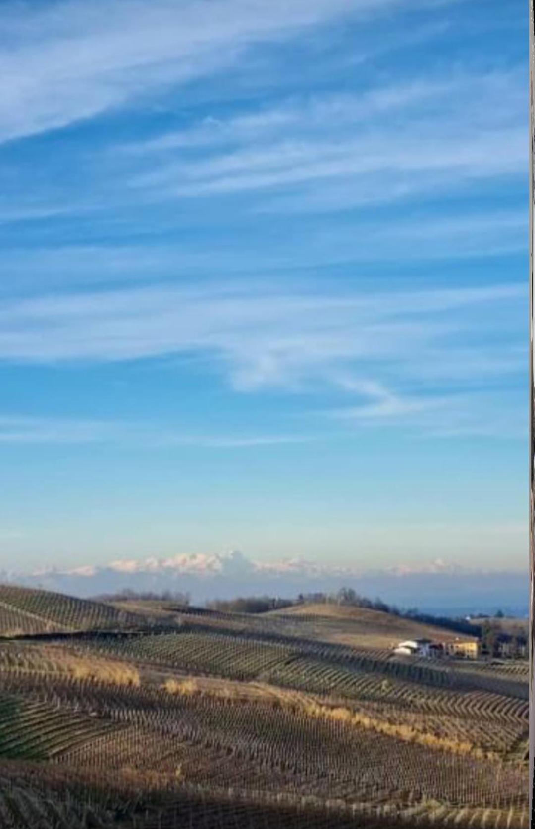 1929 Wine Food Relax Agriturismo Acqui Terme Eksteriør billede