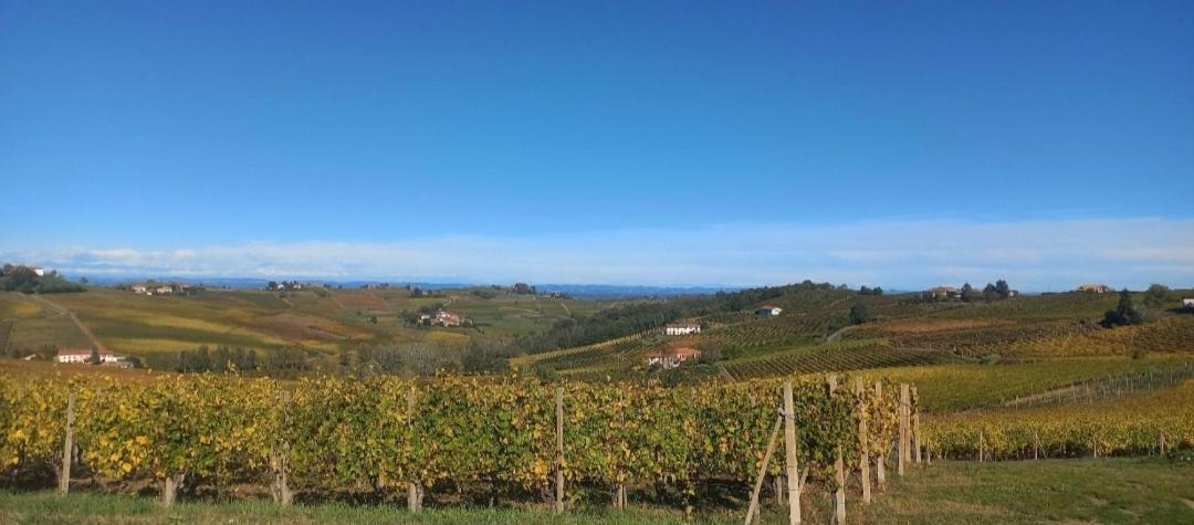 1929 Wine Food Relax Agriturismo Acqui Terme Eksteriør billede