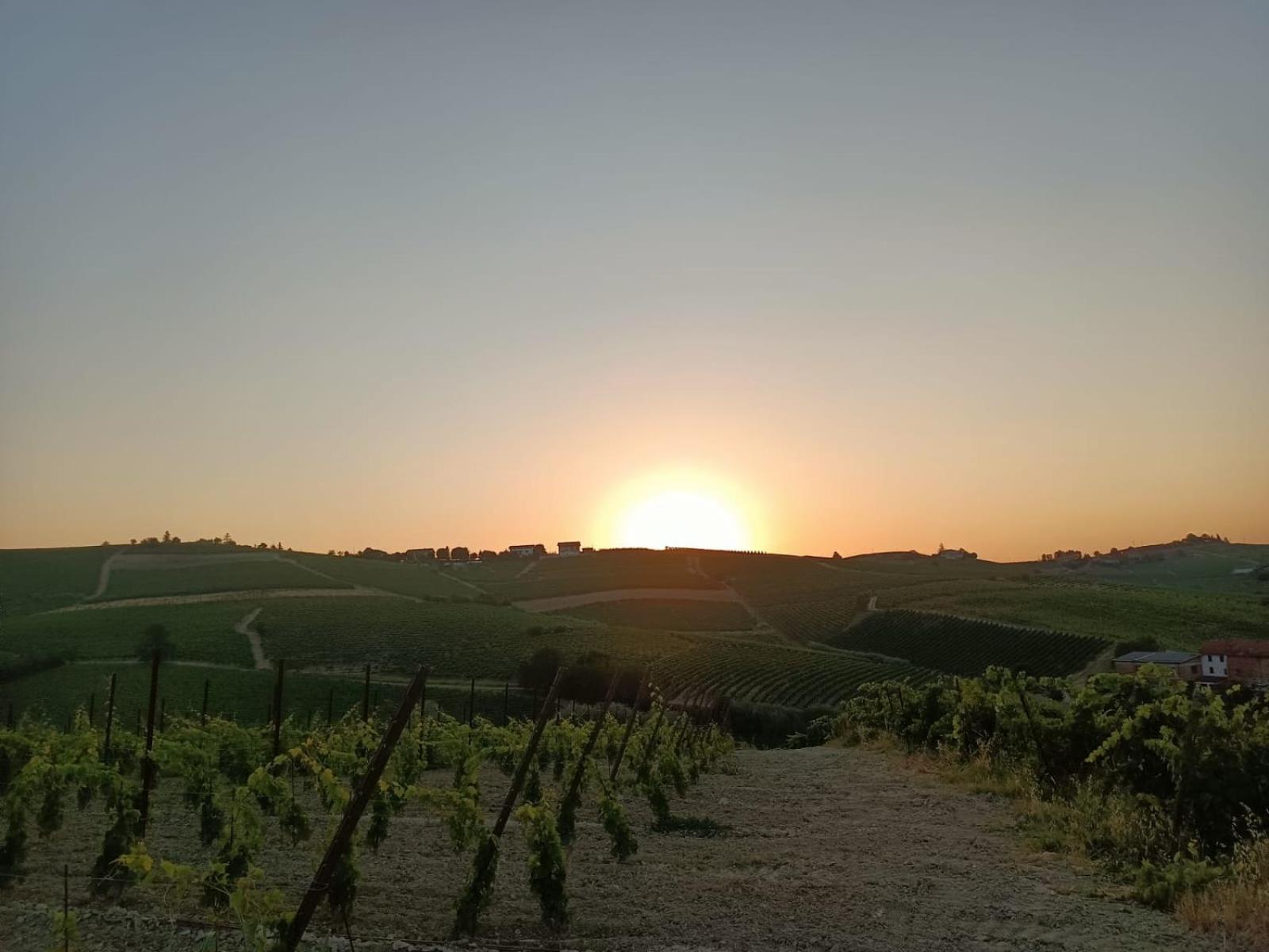 1929 Wine Food Relax Agriturismo Acqui Terme Eksteriør billede