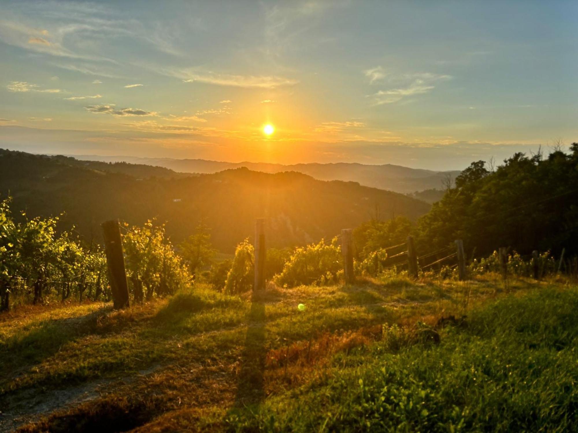 1929 Wine Food Relax Agriturismo Acqui Terme Eksteriør billede